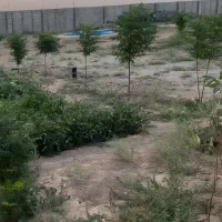 فروش طلایی زمین قله طلا