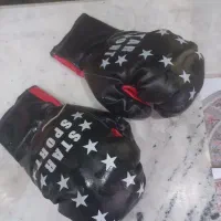 اسکیت و وسایلشان و دستکش