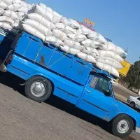 سبوس گندم مستقیم از کارخانه