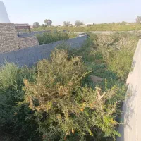 باغ-انار