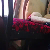 میز صندلی شش نفره