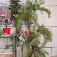 استند گل جوری ساخته شده که شلنگ خور داره