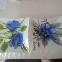 دو عدد دیس