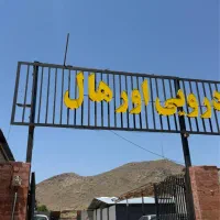 نیروی کارواش