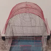 قفس پرنده،همستر