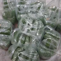سبزی آماده ، سبزی اماده ، قرمه سبزی و کوکو و اش