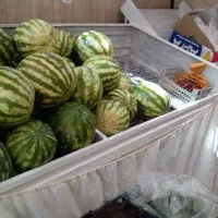 فروش منبری میوه