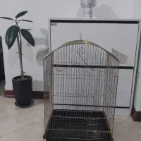 قفس پرنده