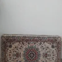 پشتی درحدنو