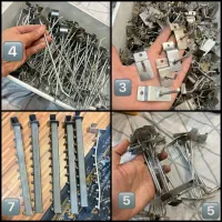 سیخ رگال یا شاخک رگال ریلی