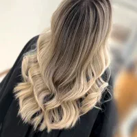 برای انجام دکلره ثبت نمونه کار به چندمدل نیازمندیم