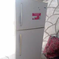 یخچال الکترو استیل دودر