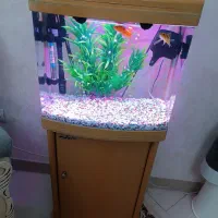 اکواریوم شرکتی
