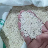 برنج طارم فجر عطری