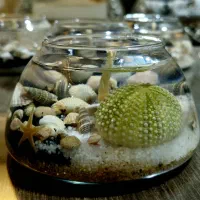 شمع آکواریومی  ودریایی