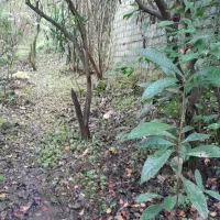 ۷۰ متر زمین مسکونی