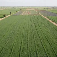 فروش زمین