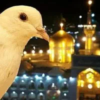 سفری مذهبی * زیارت مشهد مقدس* تور سیاحتی