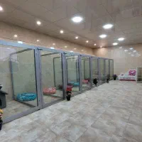 پانسیون vip سگ ، نگهداری بلندمدت با هزینه مناسب