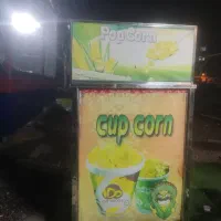 دستگاه پخت ذرت