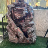 دو عدد آب نما صخره ای