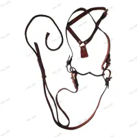 دهنه کلگی ابخوری شلاقی اسب
