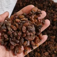 کیشمیش کشمش بدون تیزاب و گوگرد