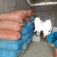 نیاز به کارگر جهت جمعآوری و انبار کردن کاه
