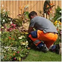 خدمات کاشت گل گیاه و باغبانی اصولی