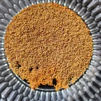 بذر یونجه