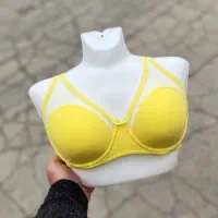 پخش سراسری لباس زیرعمده