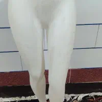 مانکن پا