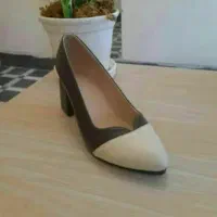 کفش های مجلسی ، اداری
