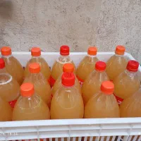 ابغوره
