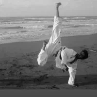 آموزش هنرهای رزمی ( شوتوکان کاراته)‌