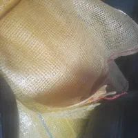 گونی اردی سالم