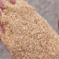 سبوس گندم