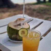 تور گردشگری متنوع