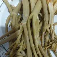 چاخشور جوان