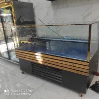 یخچال جزیره نونو