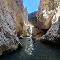 تور گردشگری