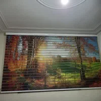 پرده زبرا ۲عدد مشابه هم