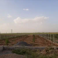 باغ-2000-متری-واقع-در-کبودرآهنگ-روستای-سردار-آباد