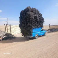 ضایعات نوارقطره ی تیپ