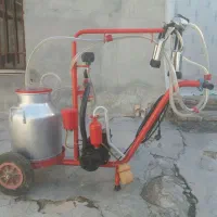 شیردوش گاوی