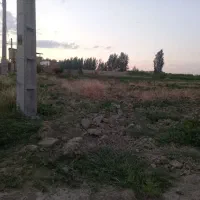 زمین‌ تفکیک شده داخل کوچه ۸ متری برق و گاز و آب