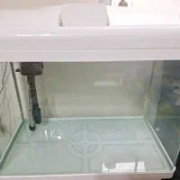 اکواریوم