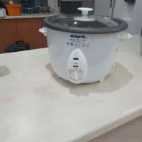بخار پز و پلو پز