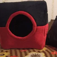خانه سگ نو