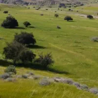 زمین-کشاورزی